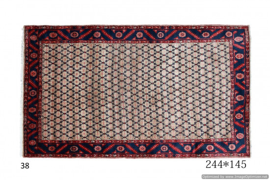 Tappeto Persiano Koliai 145x244 cm